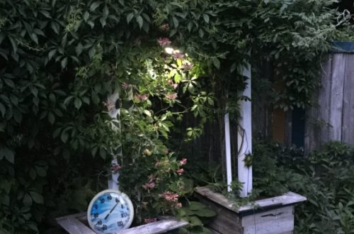 garden arbor, backyard garden