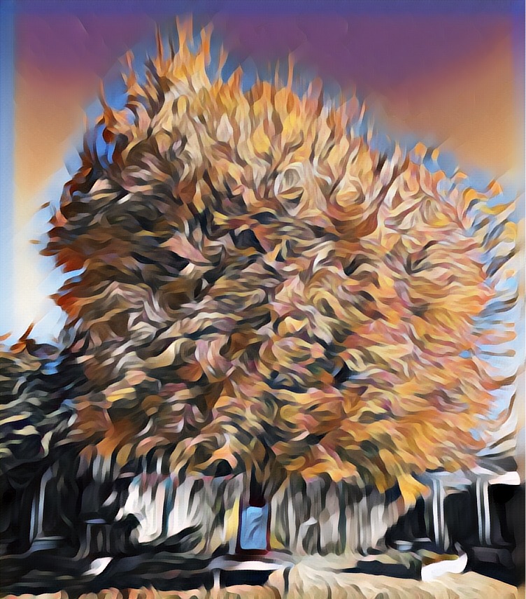 Brown Tree Project Large tree brown | My Perpetual Project