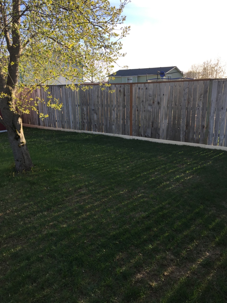 Let's Fix the Fence! | My Perpetual Project