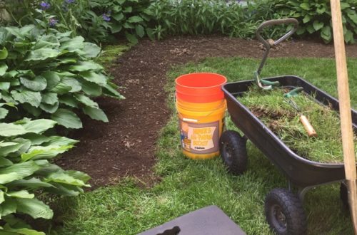 landscape, remove sod, enlarge flower bed