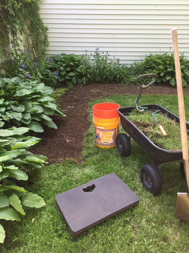 landscape, remove sod, enlarge flower bed