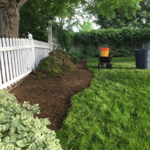 rock garden, landscape, remove sod