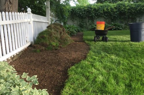 rock garden, landscape, remove sod