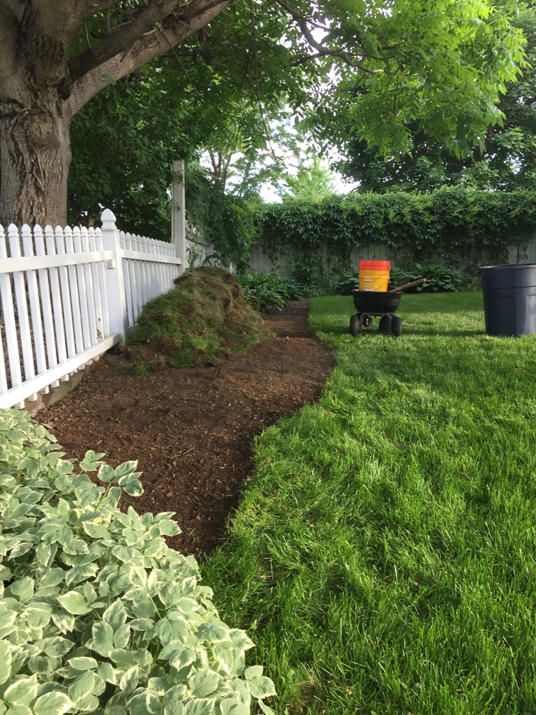 rock garden, landscape, remove sod