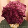 Wine & Brown Floral Hat - Image 3
