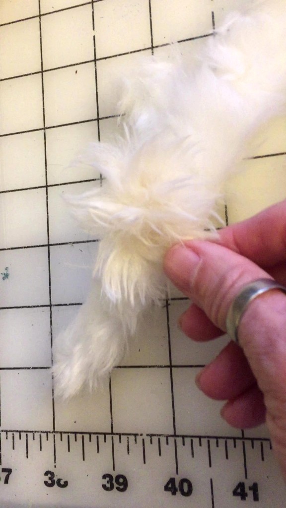 Repairing a stuffed fur teddy bear | My Perpetual Project
